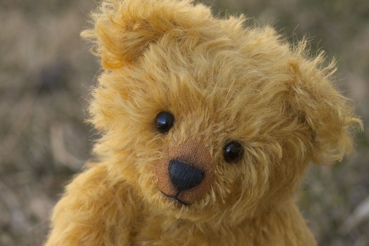 Dolls & Plush Toys